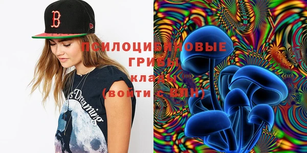 прущие крисы Зерноград